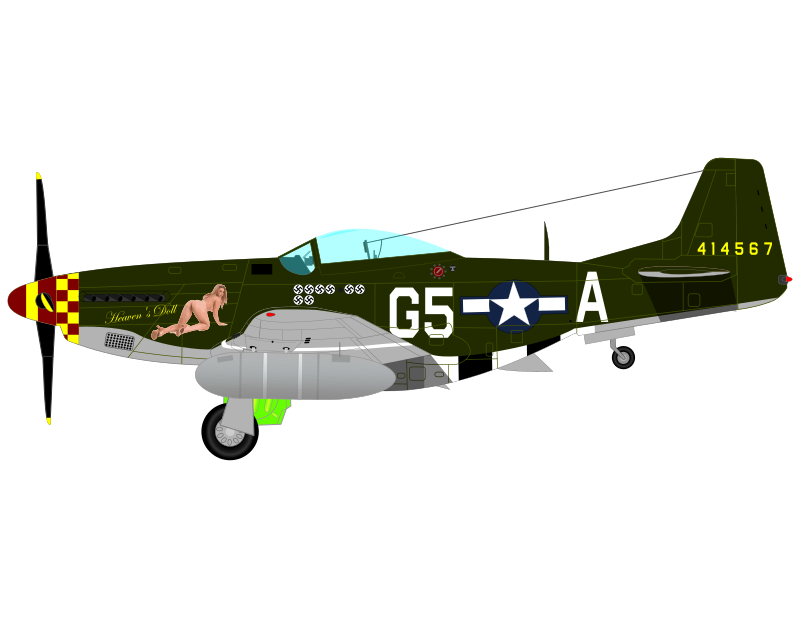 MUSTANG P-51 D