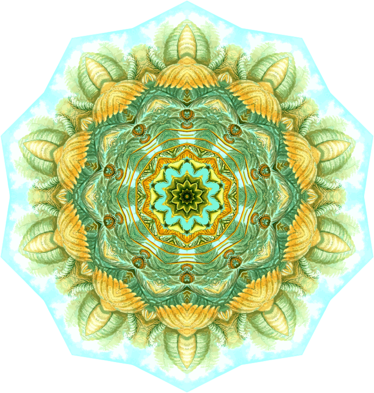 Filicinae 26