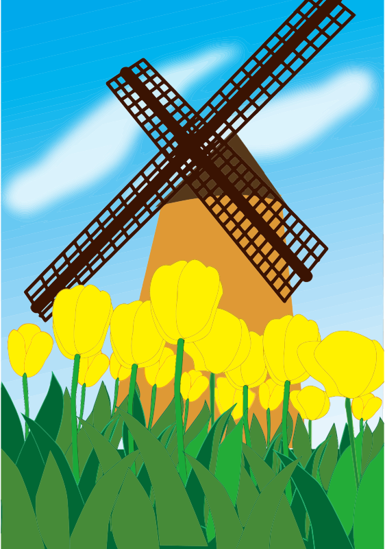 Tulips And Windmill Scene