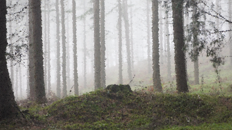 High Poly Fog Enshrouded Forest