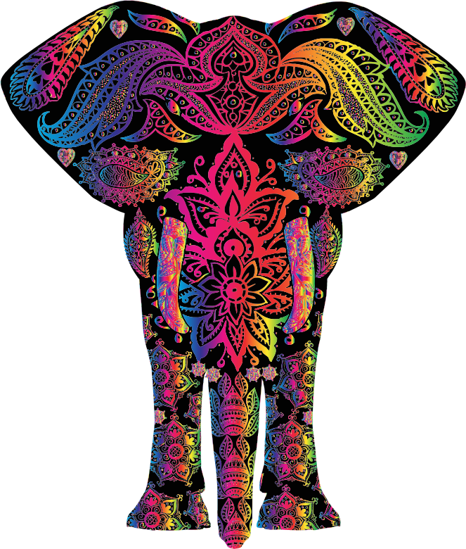 Rainbow Floral Pattern Elephant