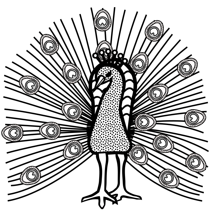peacock - lineart