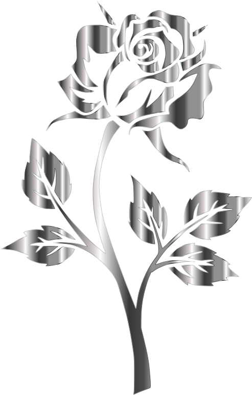 Stainless Steel Rose Silhouette No Background - Openclipart