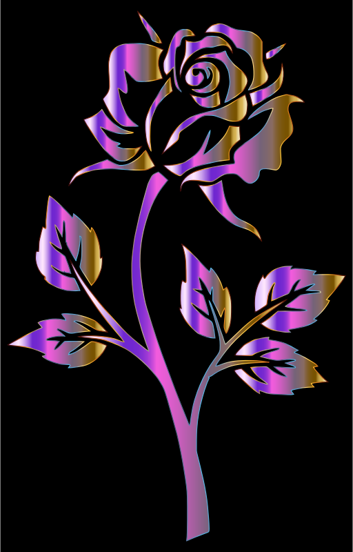 Polychromatic Rose Silhouette