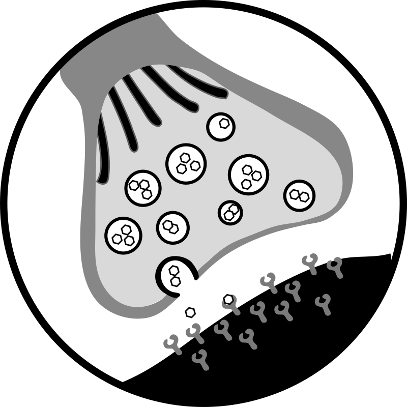 Chemical Synapse