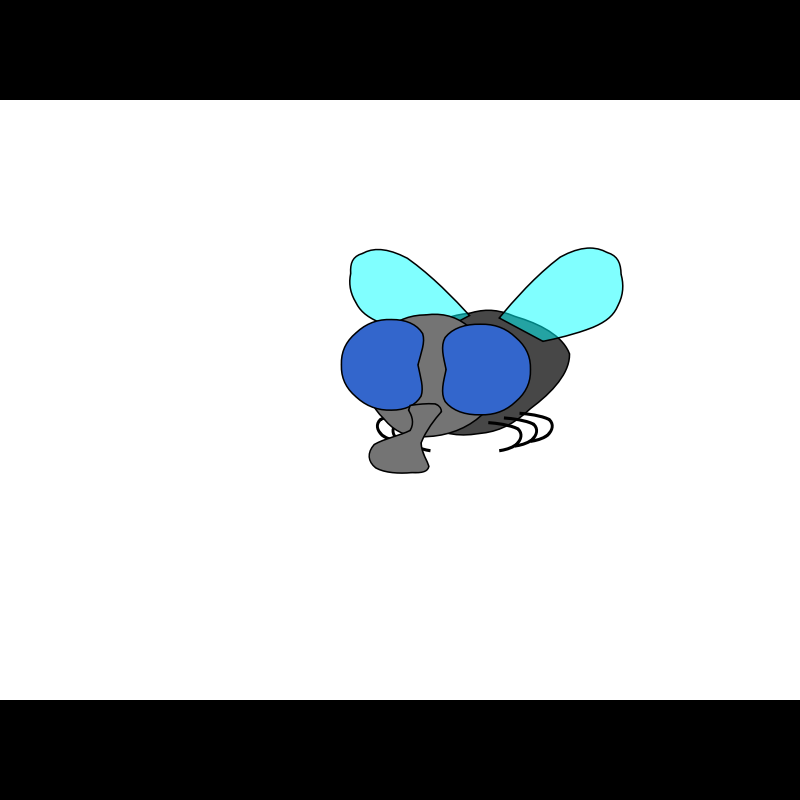 A007: Annoying fly (Animation SMIL)