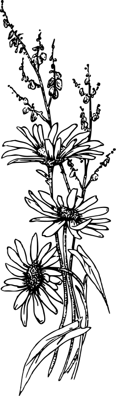 Flower 50