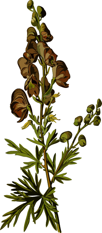 Wolfsbane (smaller file)