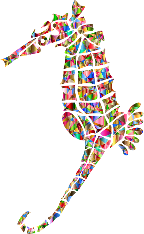 Polychromatic Stylized Seahorse Silhouette