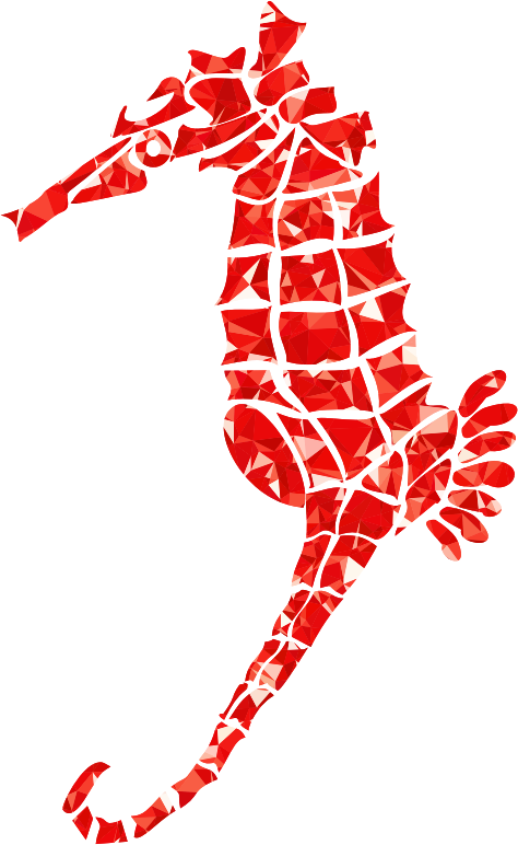 Ruby Stylized Seahorse Silhouette