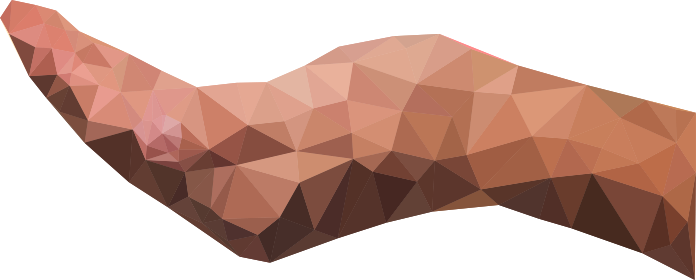 Low Poly Cupping Hand Horizontal