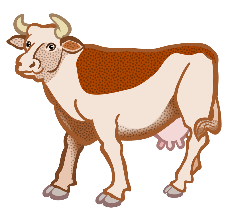 cow - coloured