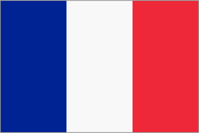 Framed flag of France