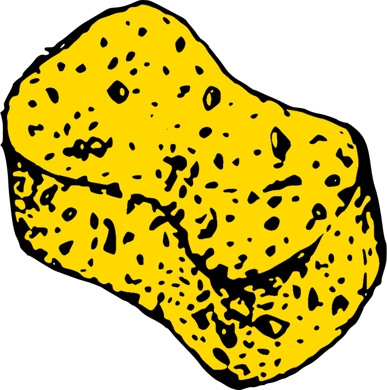 sponge clipart