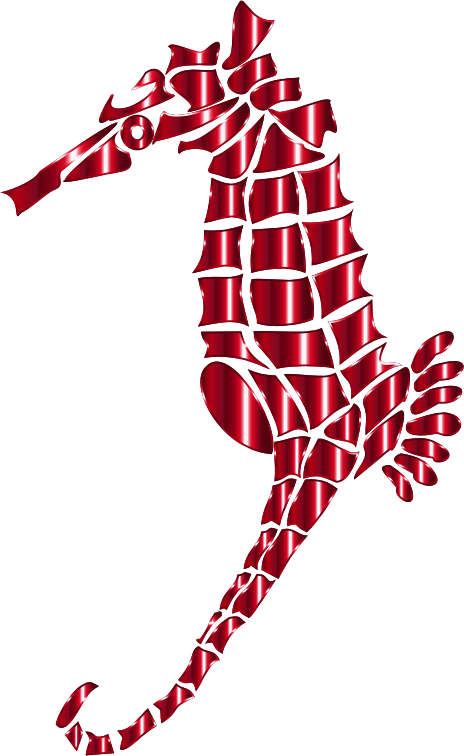 Vermillion Stylized Seahorse Silhouette No Background