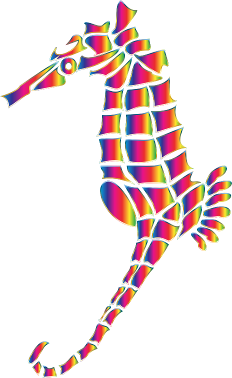 Spectral Stylized Seahorse Silhouette No Background