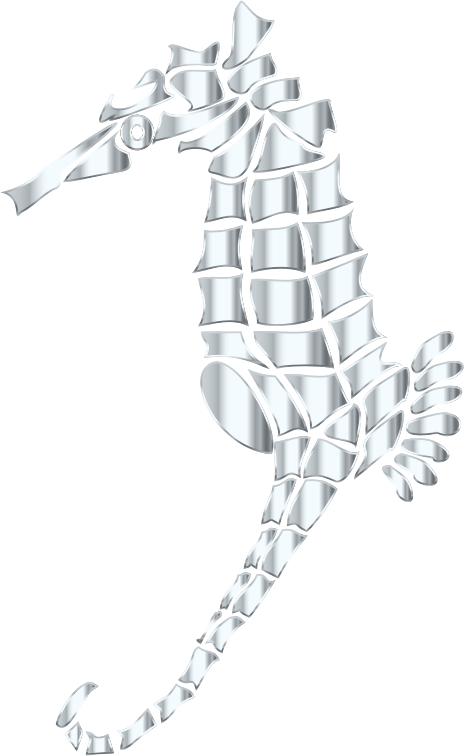 Silver Stylized Seahorse Silhouette No Background