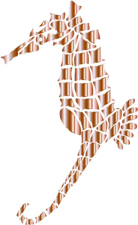 Mother Of Pearl Stylized Seahorse Silhouette No Background