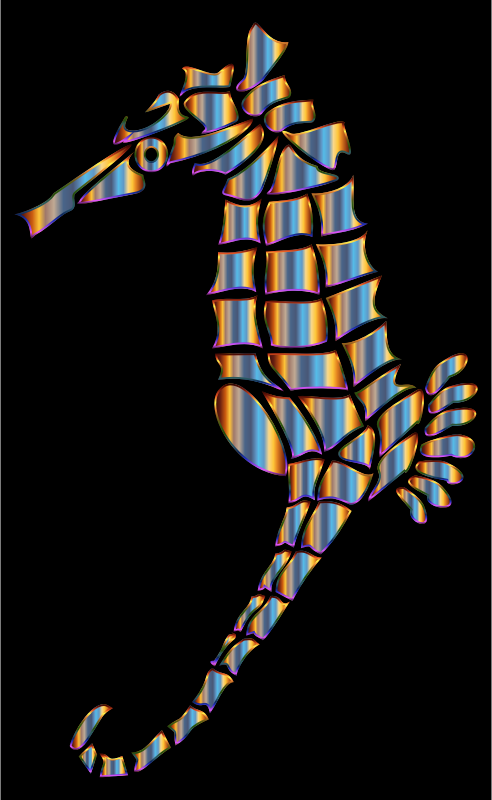 Chromatic Stylized Seahorse Silhouette