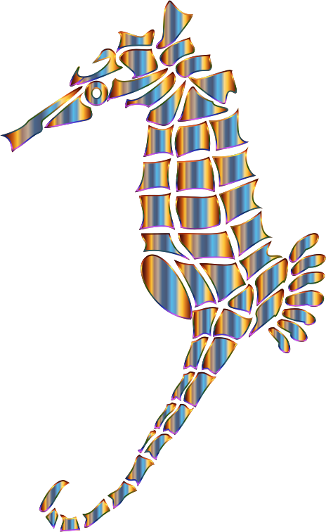 Chromatic Stylized Seahorse Silhouette No Background