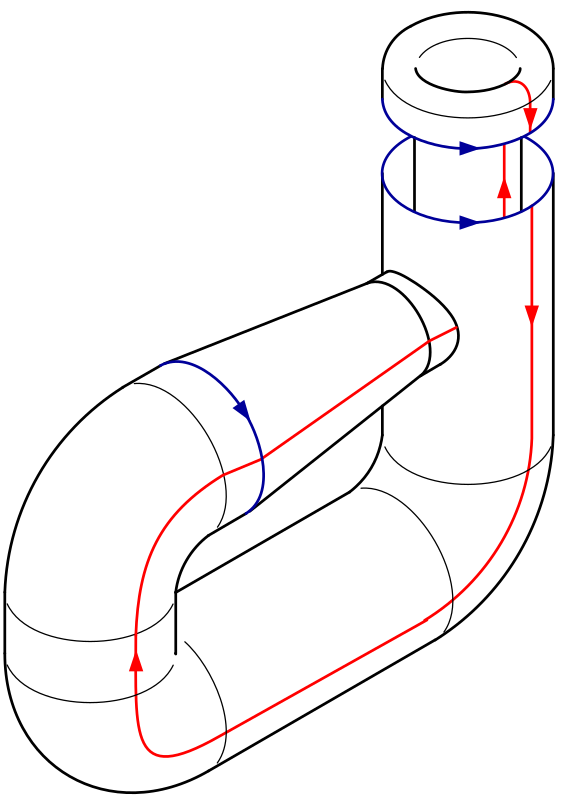 Klein bottle folding