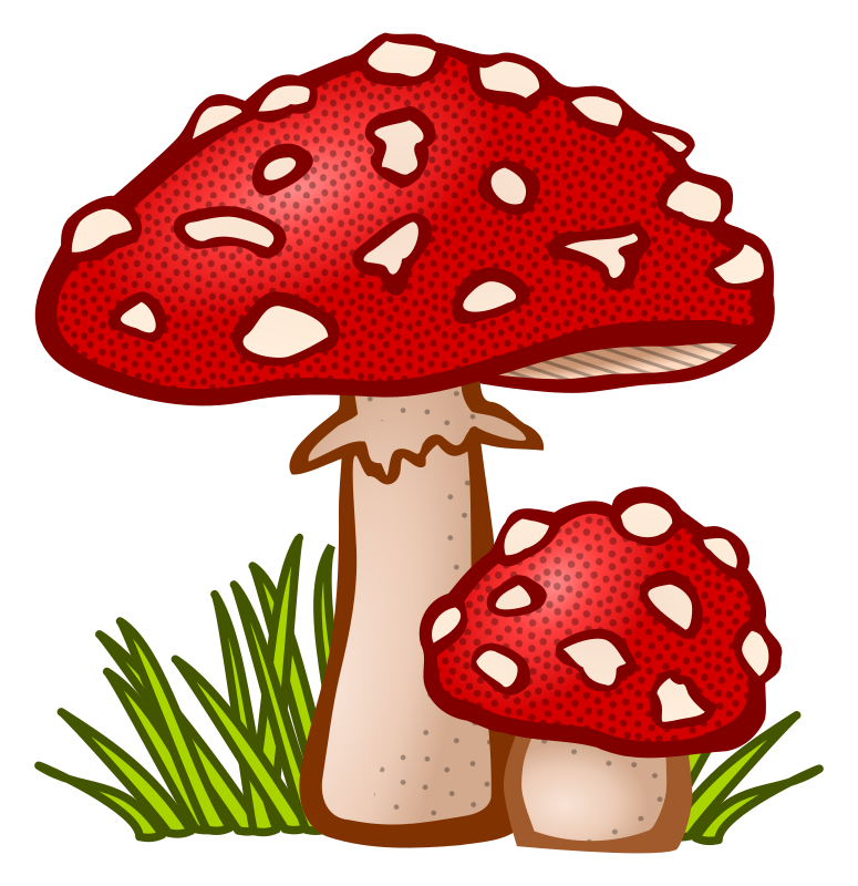 toadstool coloured Openclipart