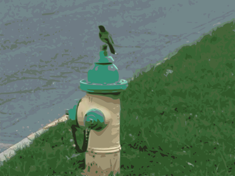 Bird on Fire Hydrant