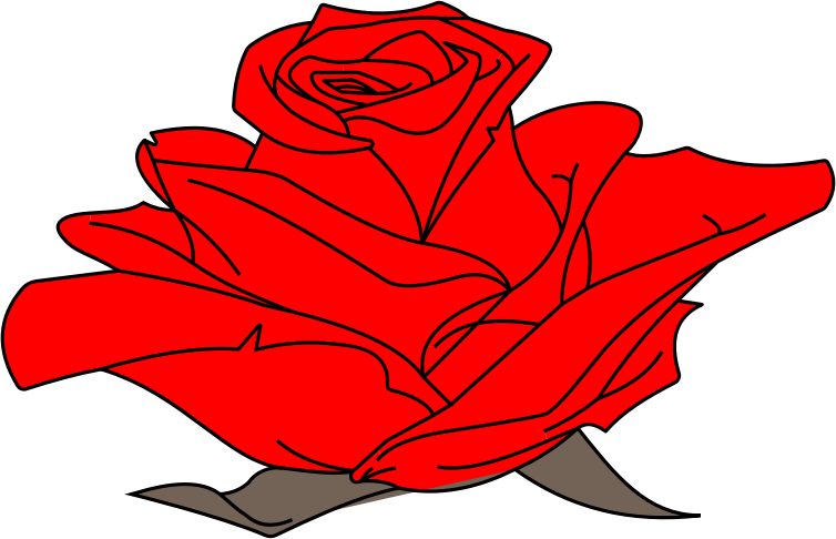 Colored Rose Line Art