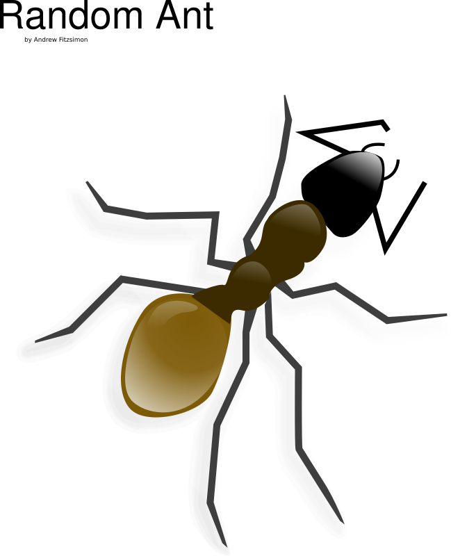 Ant 2