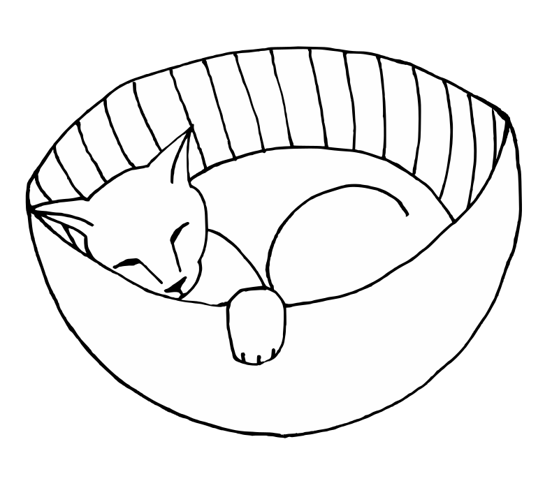 gato dormido