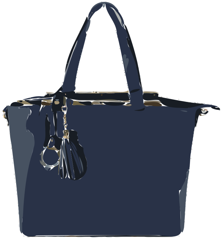 Blue Flat Leather Bag