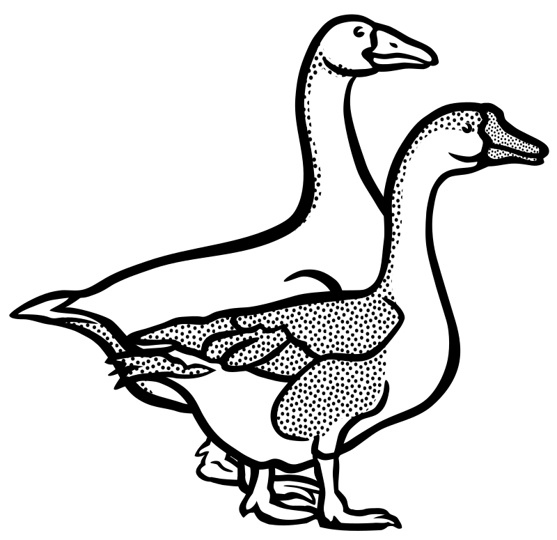 geese - lineart