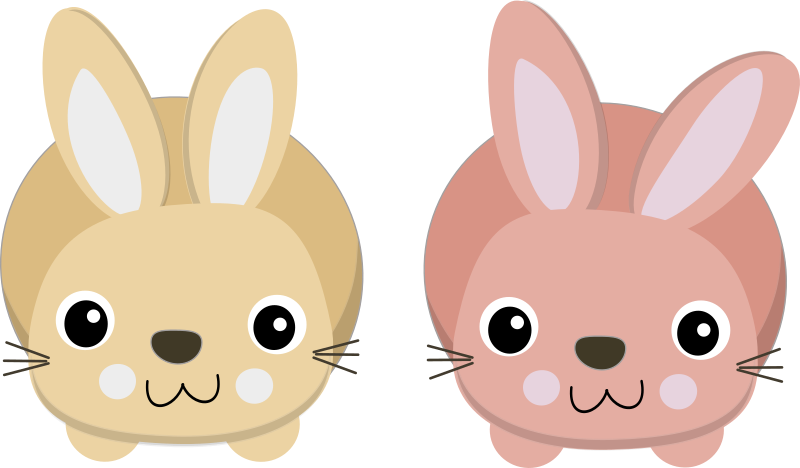 Cute bunnies