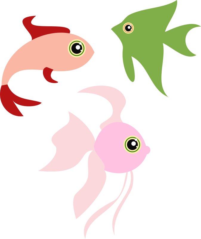 funny fishes