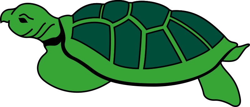 Turtle 2