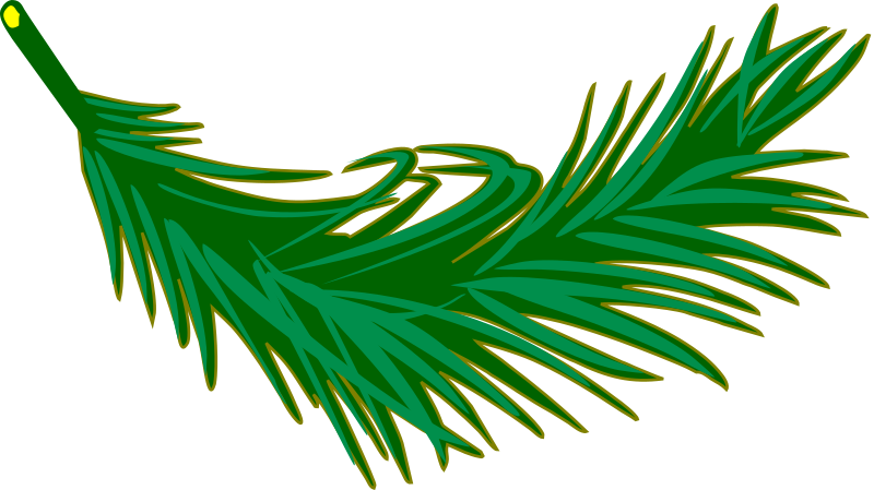 Palm frond