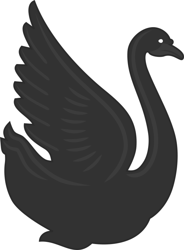 Swan 3