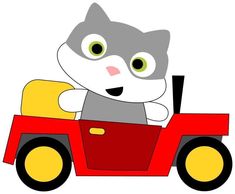 A cat driving a car