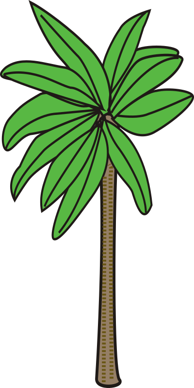 Palm tree