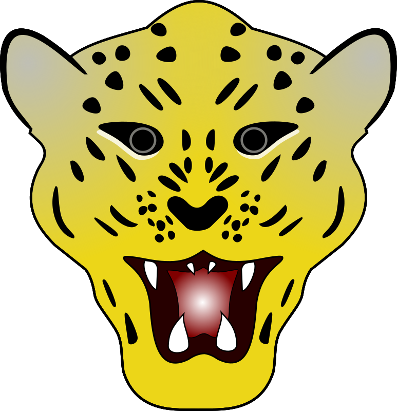 Leopard head