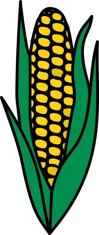 Corn 3