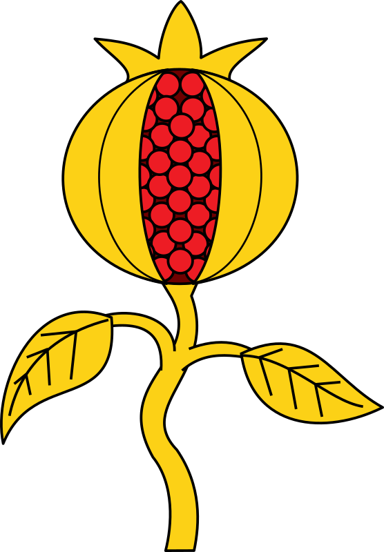 Pomegranate