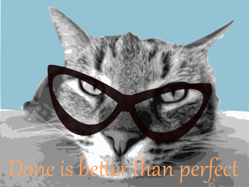  cat with eyewear