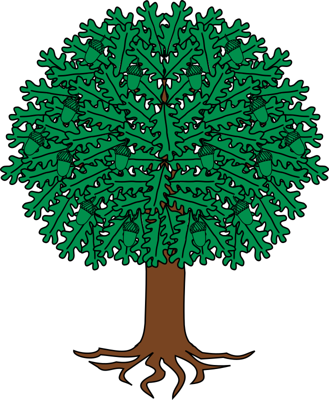 Tree 3