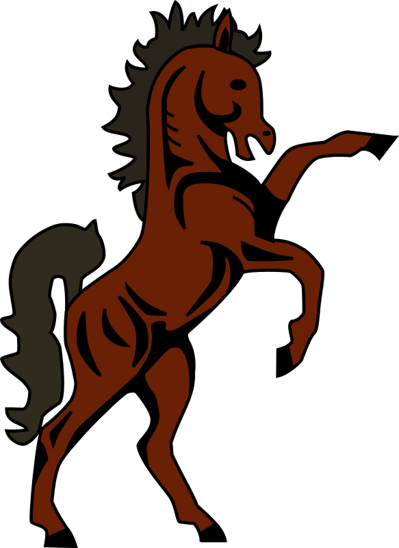 Basutho horse