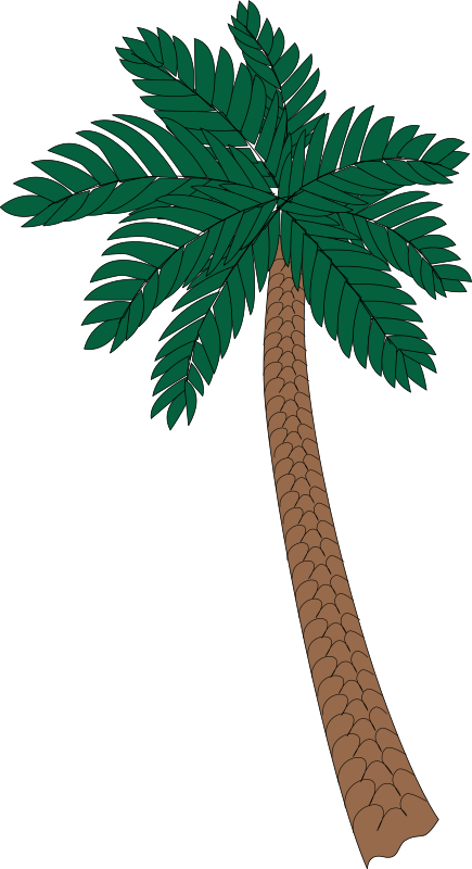 Palm tree 2