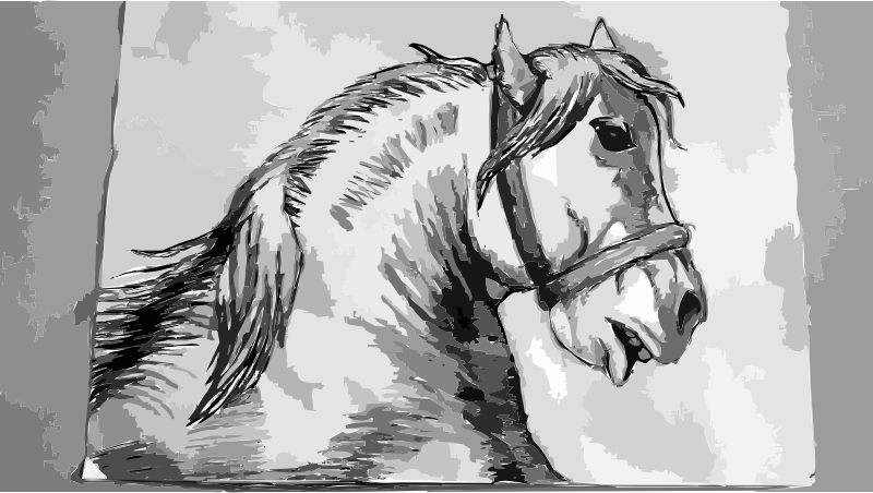 Horse Drawing