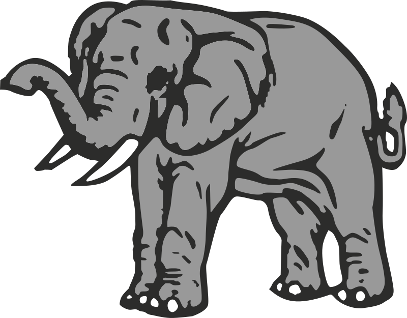 Elephant 7