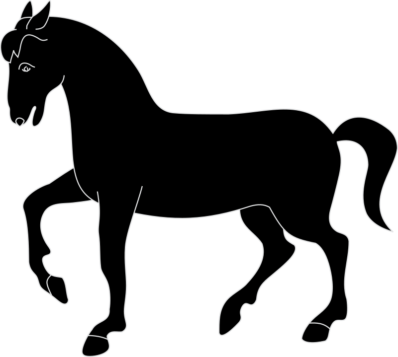 Horse 4