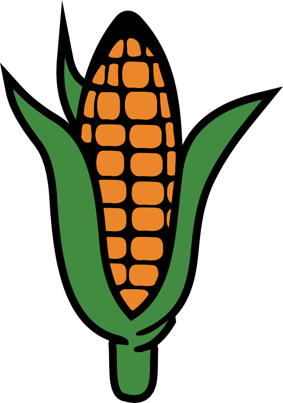 Corn 4